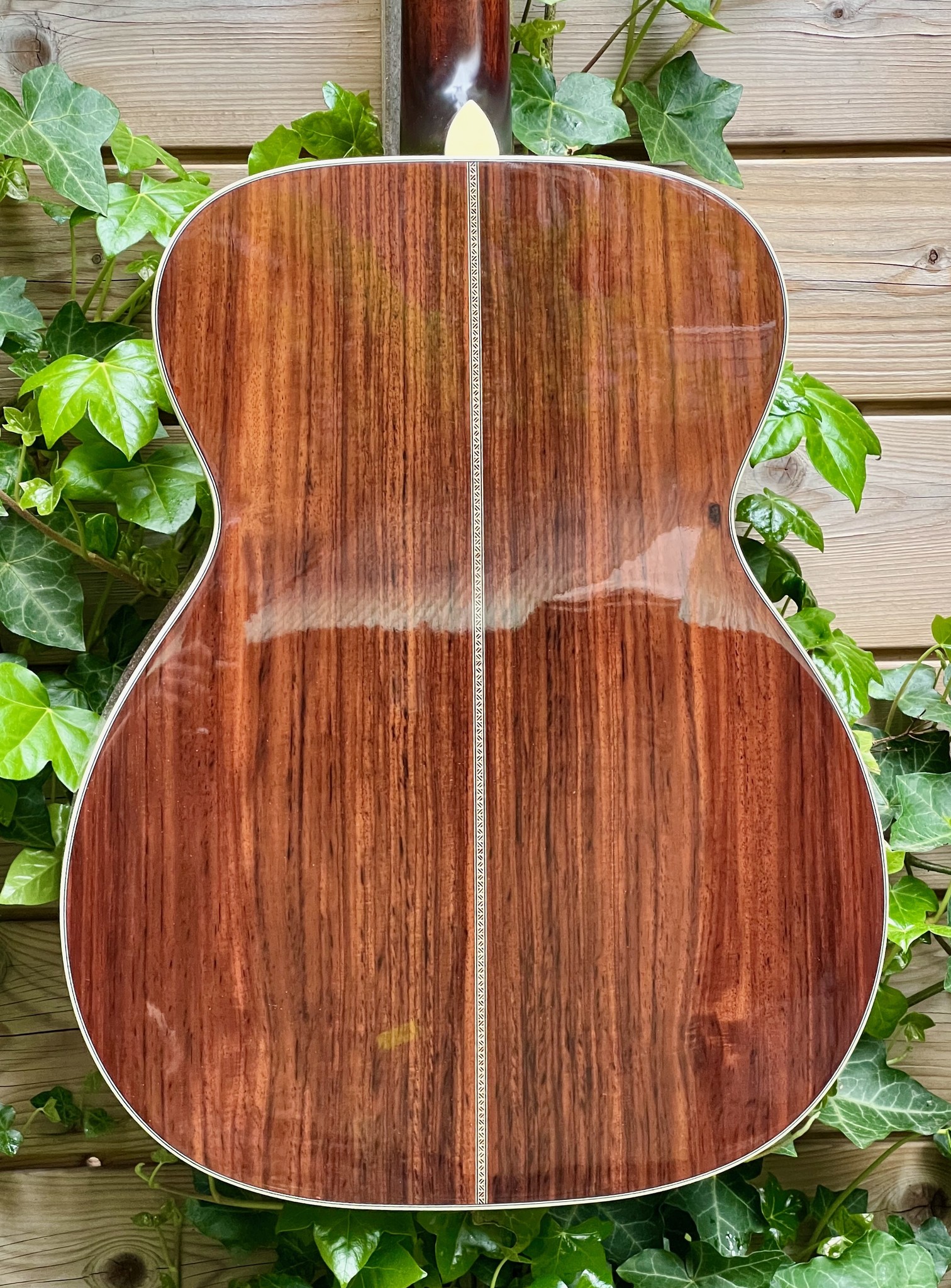 Eastman Eastman E20 OM-TC (#...423)