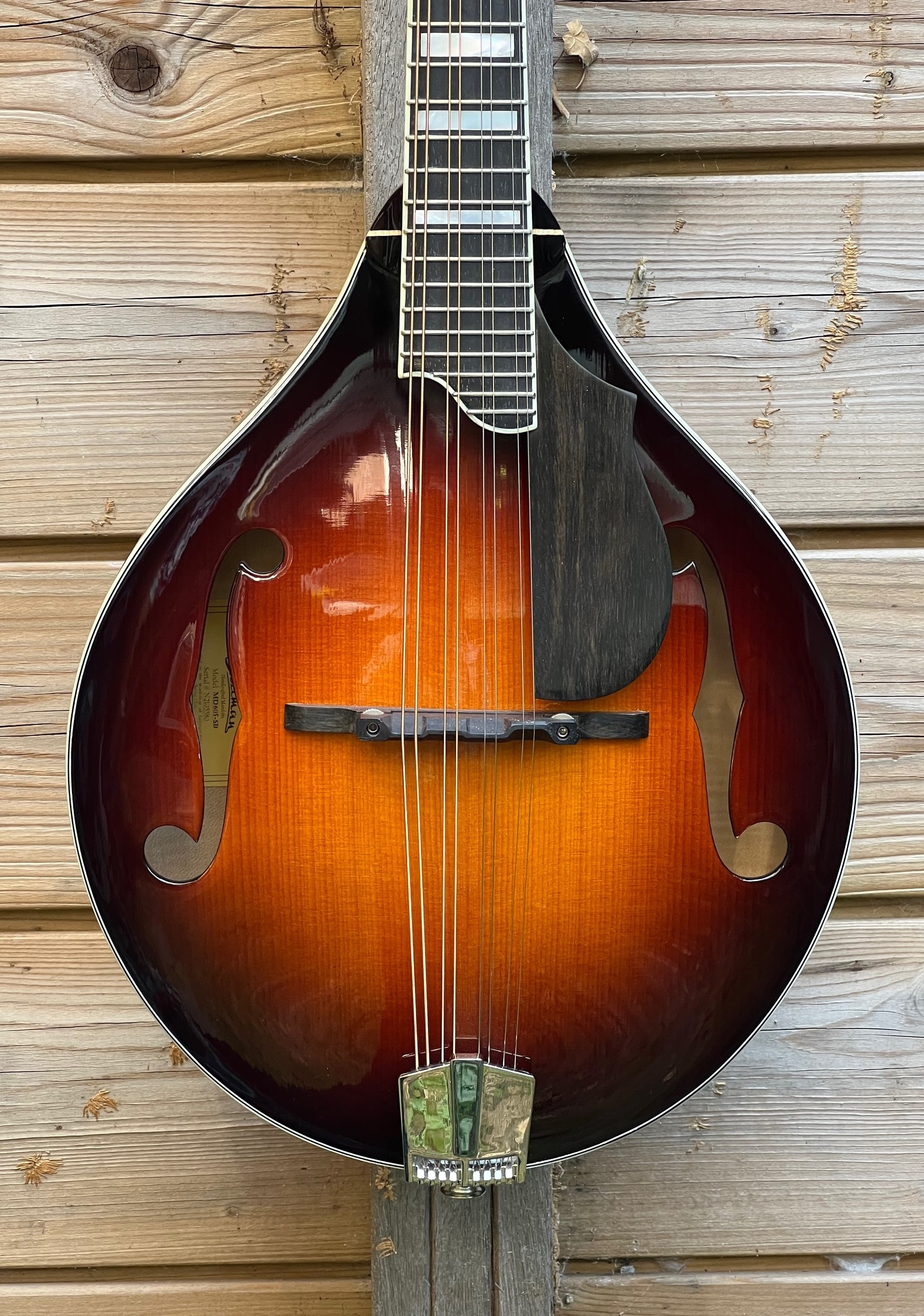 Eastman Eastman Mandolin MD605 A-style w/pickup Sunburst