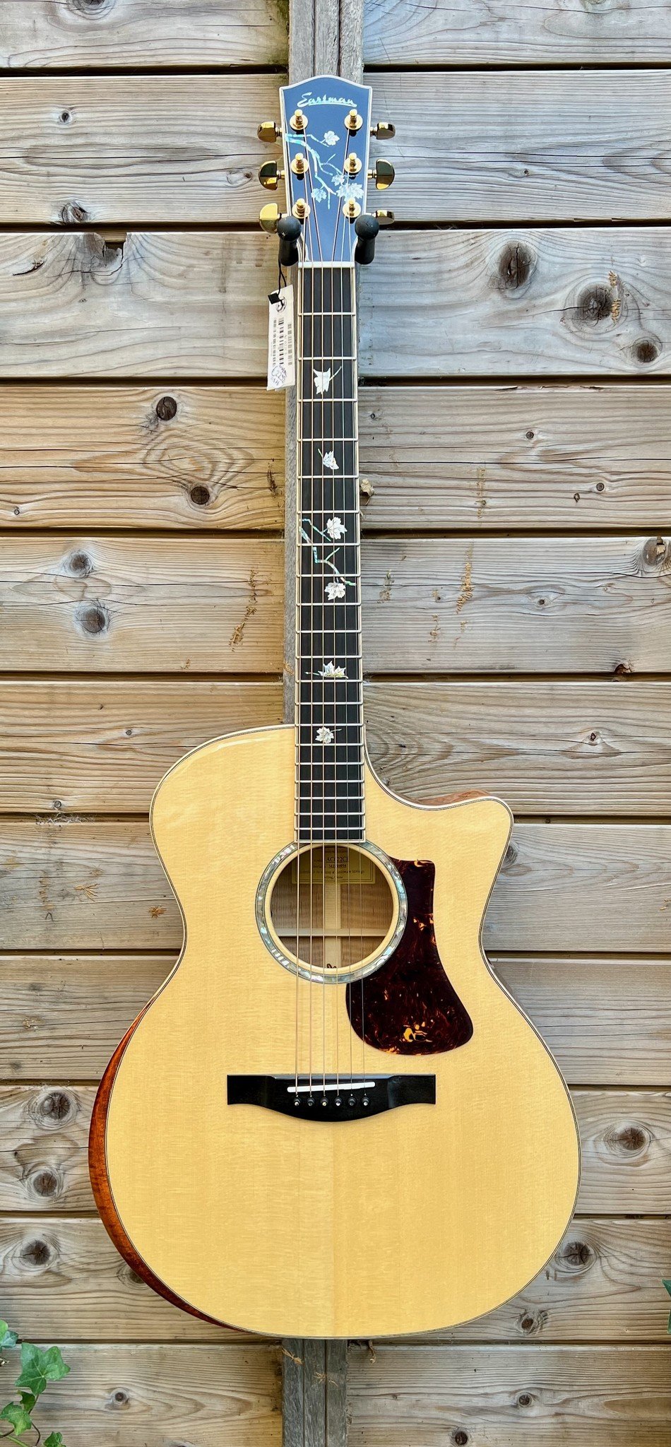 eastman ac622ce