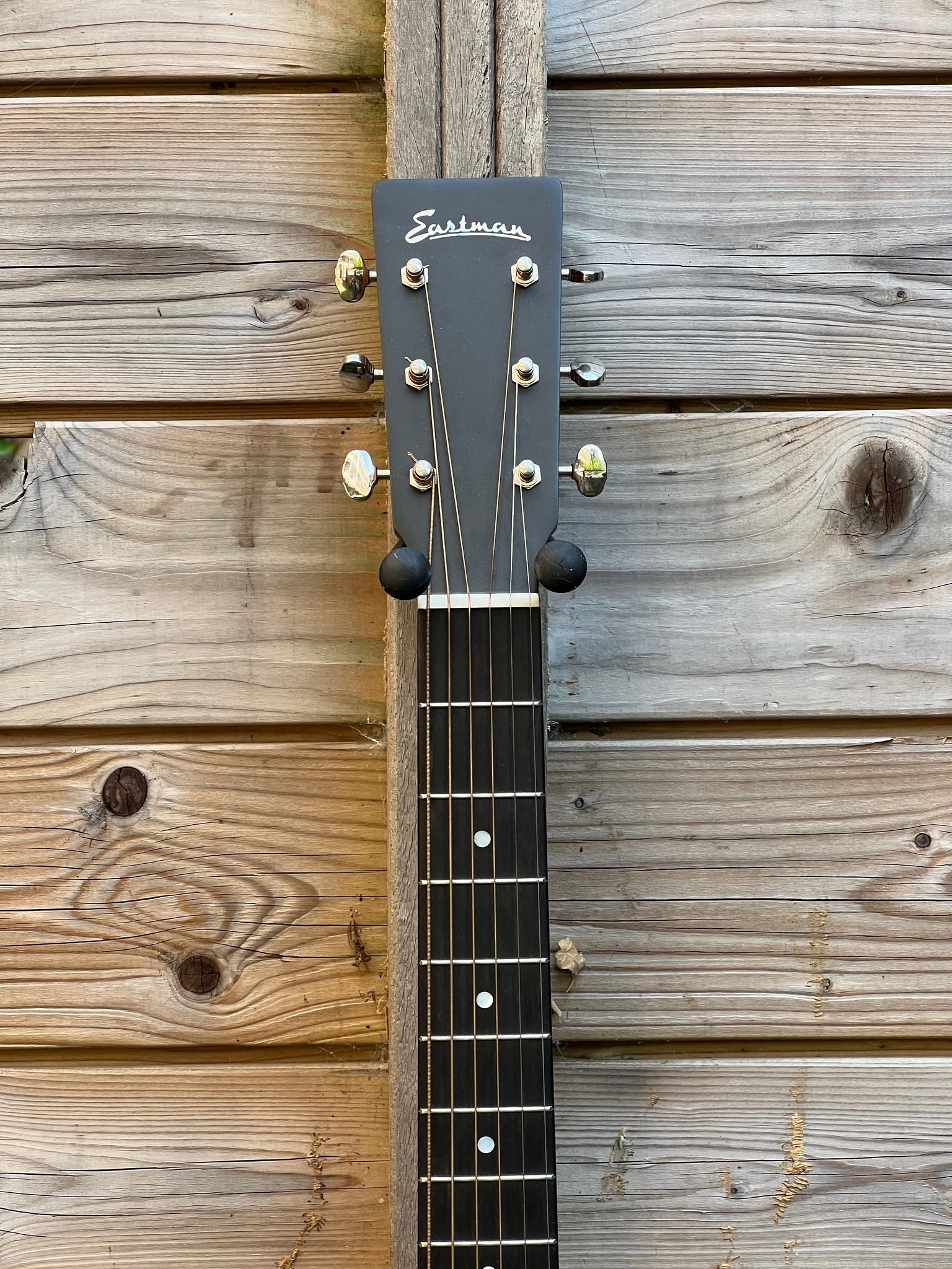 Eastman Eastman E1 OM