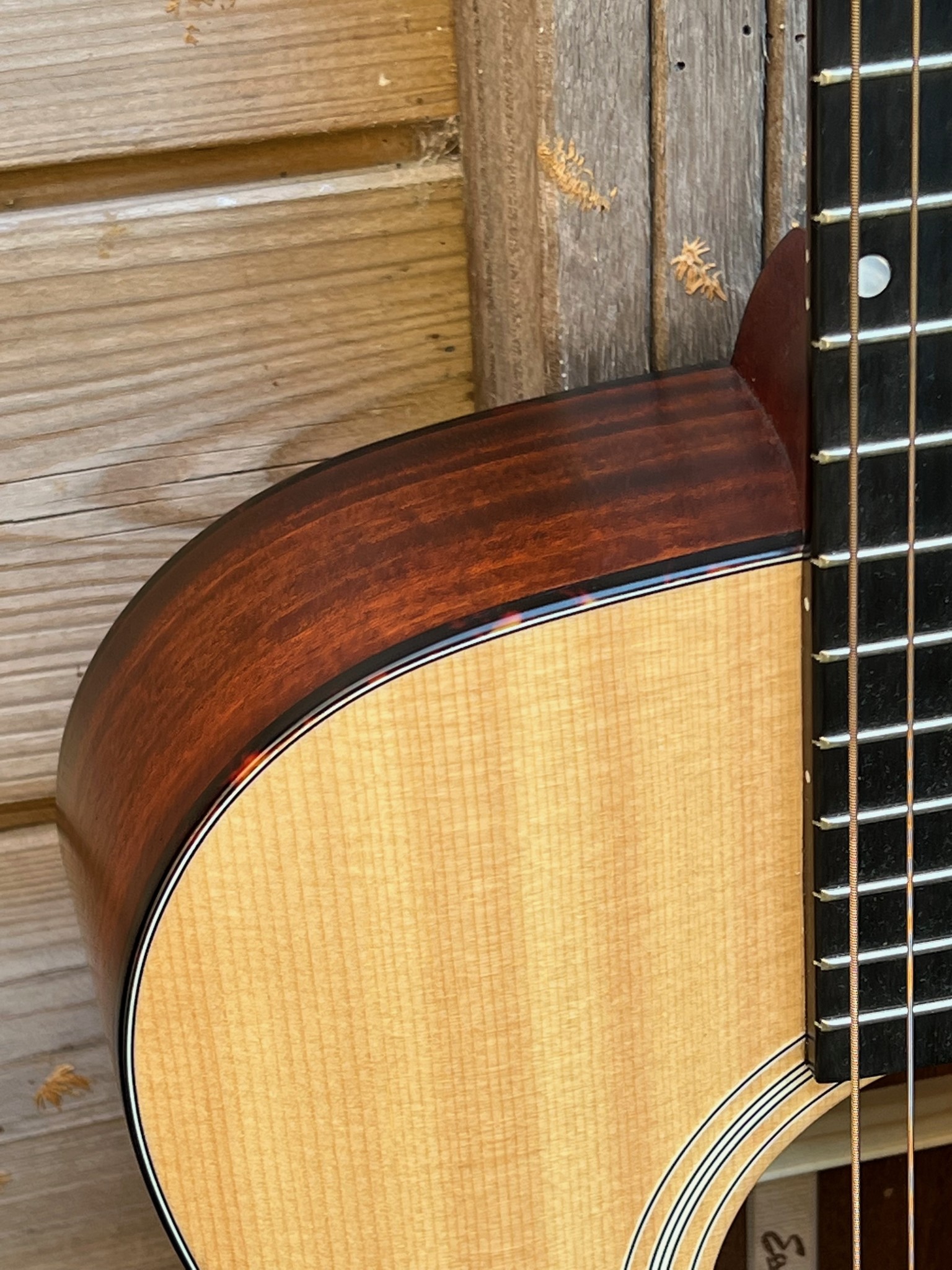 Eastman Eastman E1 OM