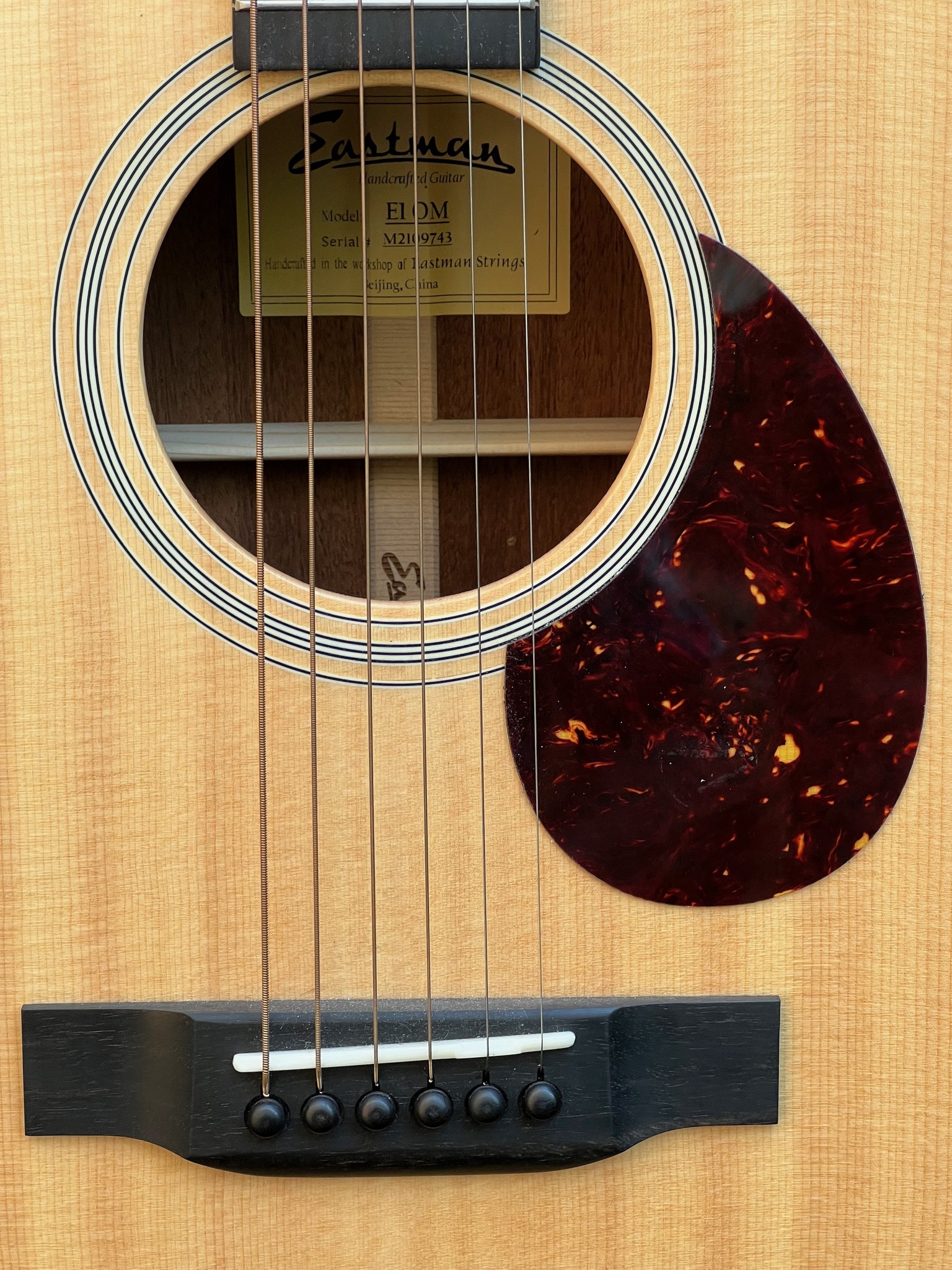 Eastman Eastman E1 OM