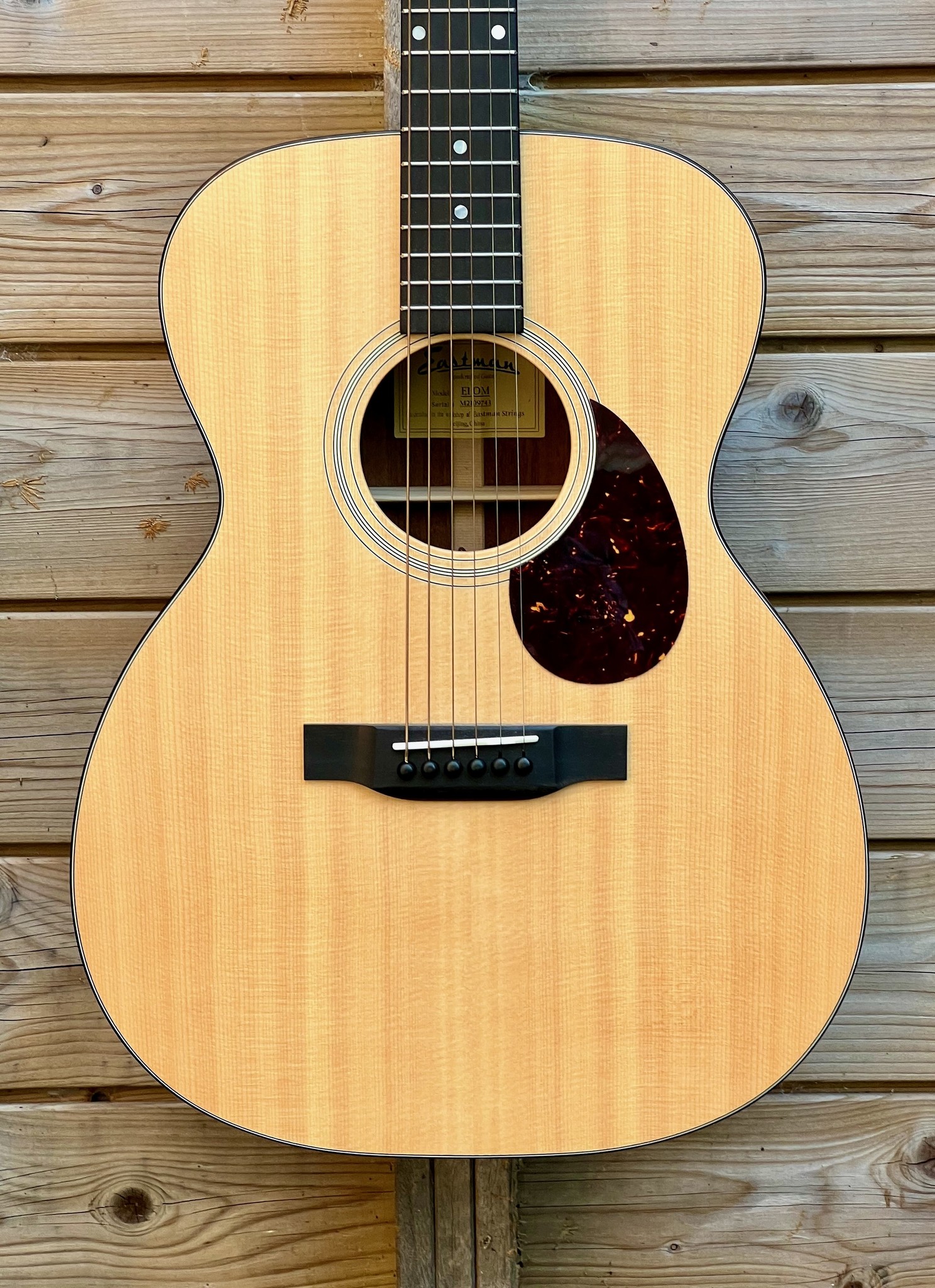 Eastman Eastman E1 OM