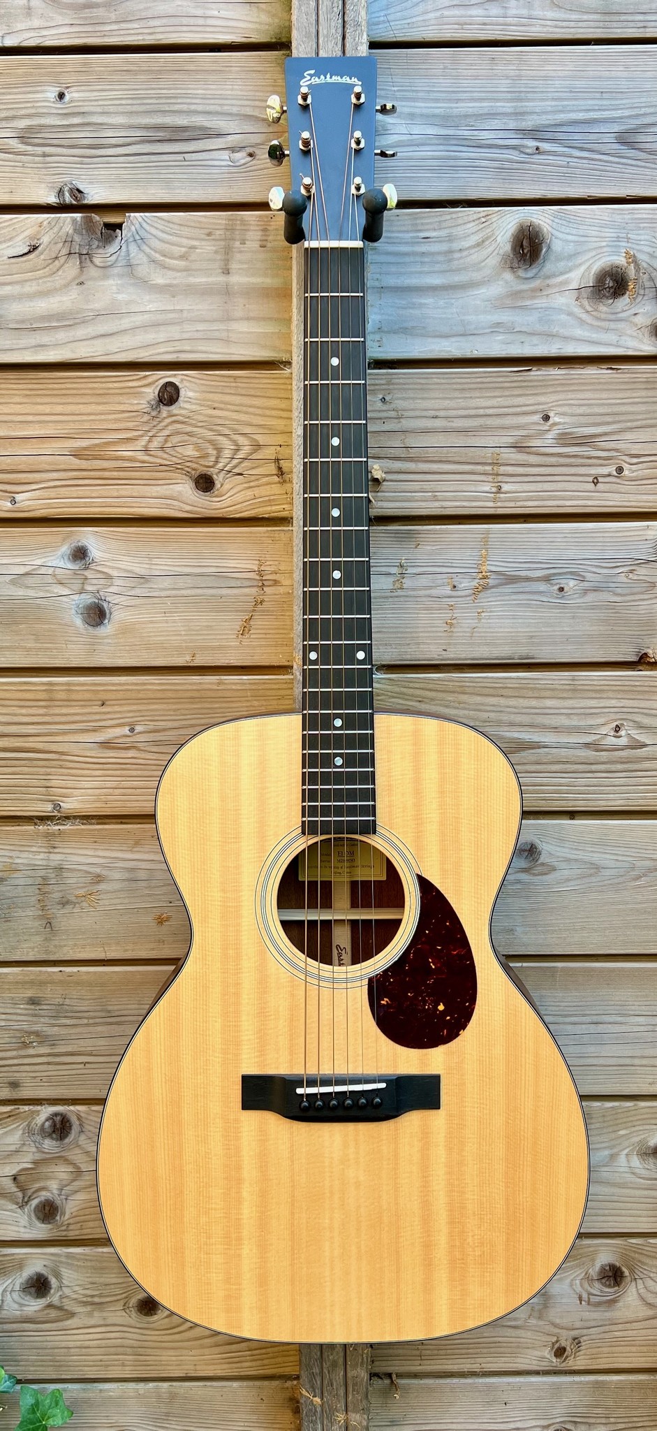 Eastman Eastman E1 OM