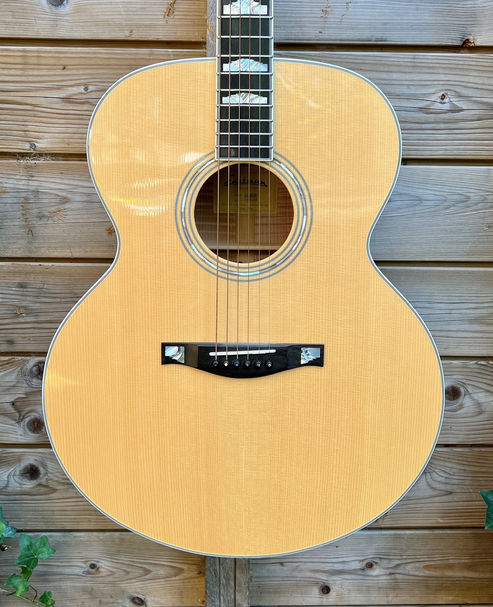 Eastman Eastman AC630-BD Jumbo