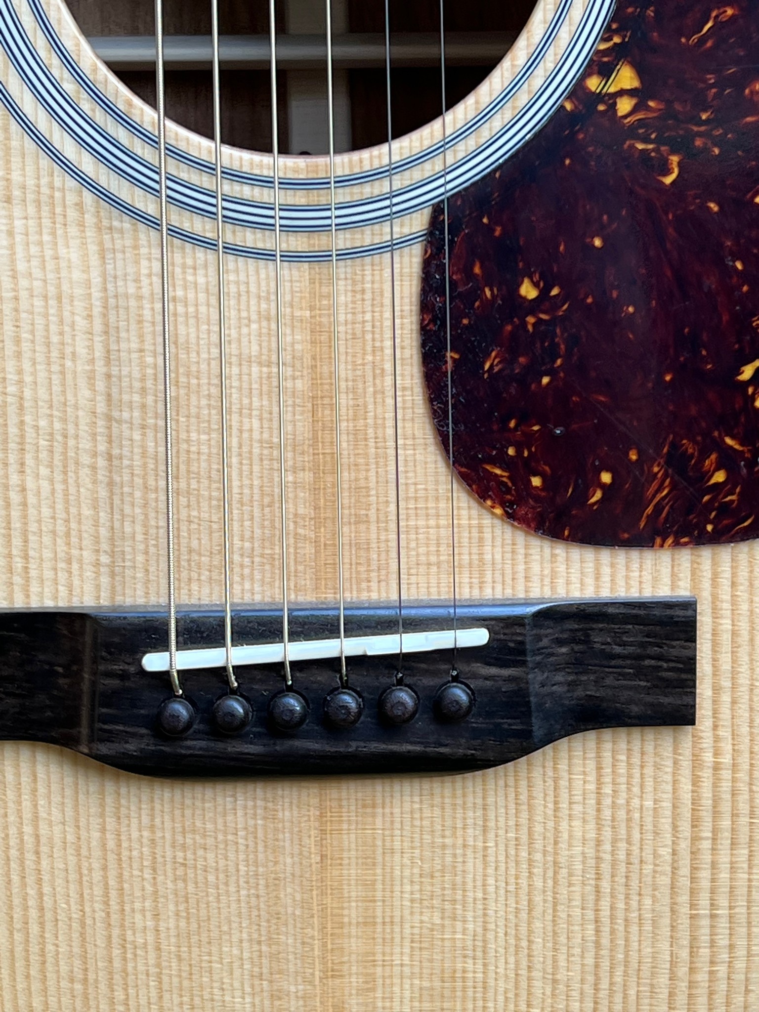 Eastman (PRICE DROP!) Eastman E10 D w/case #...811