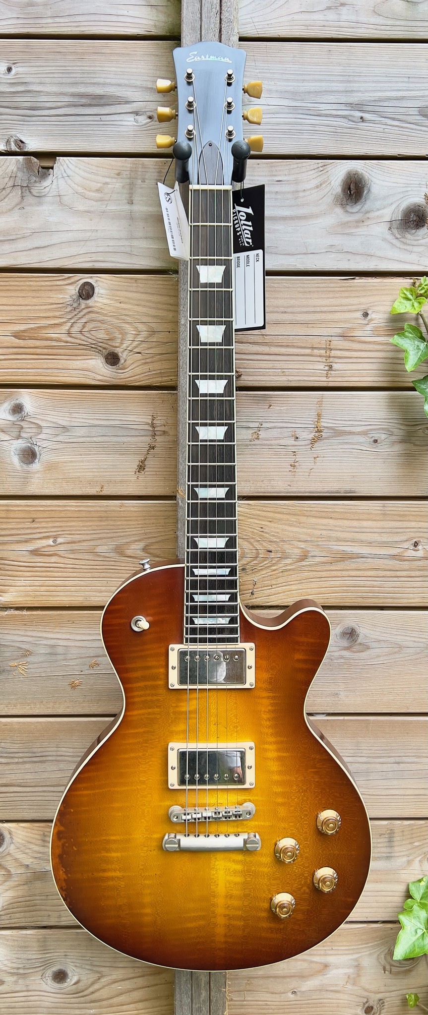 Eastman (AFGEPRIJSD!) Eastman SB59/v Varnish Goldburst (#...482)