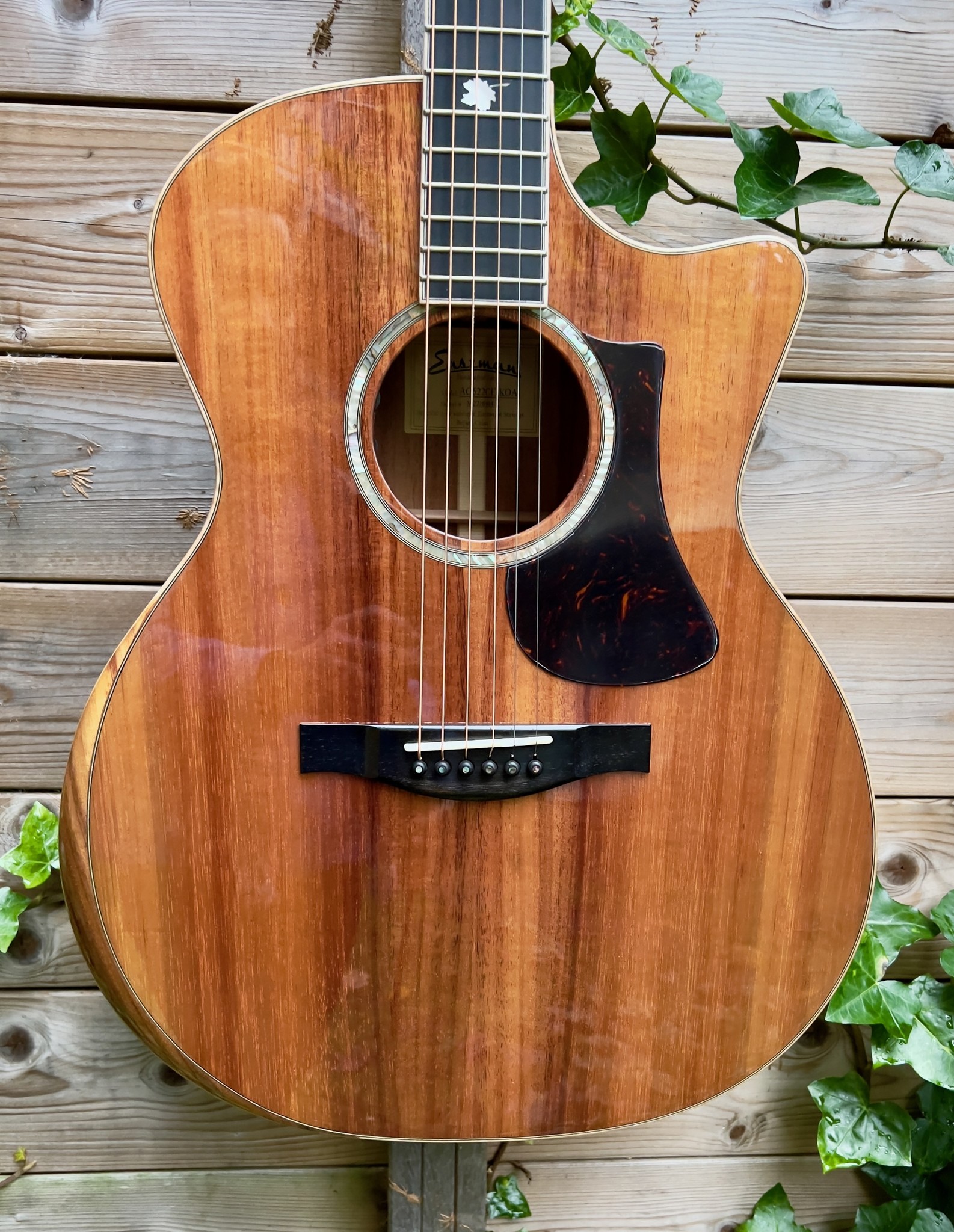 Eastman Eastman AC622CE Koa Limited Edition