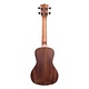 Kala Kala Concert Ukulele All Solid Acacia KA-SA-C