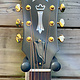 Guild Guild USA GSR D-40 Traditional