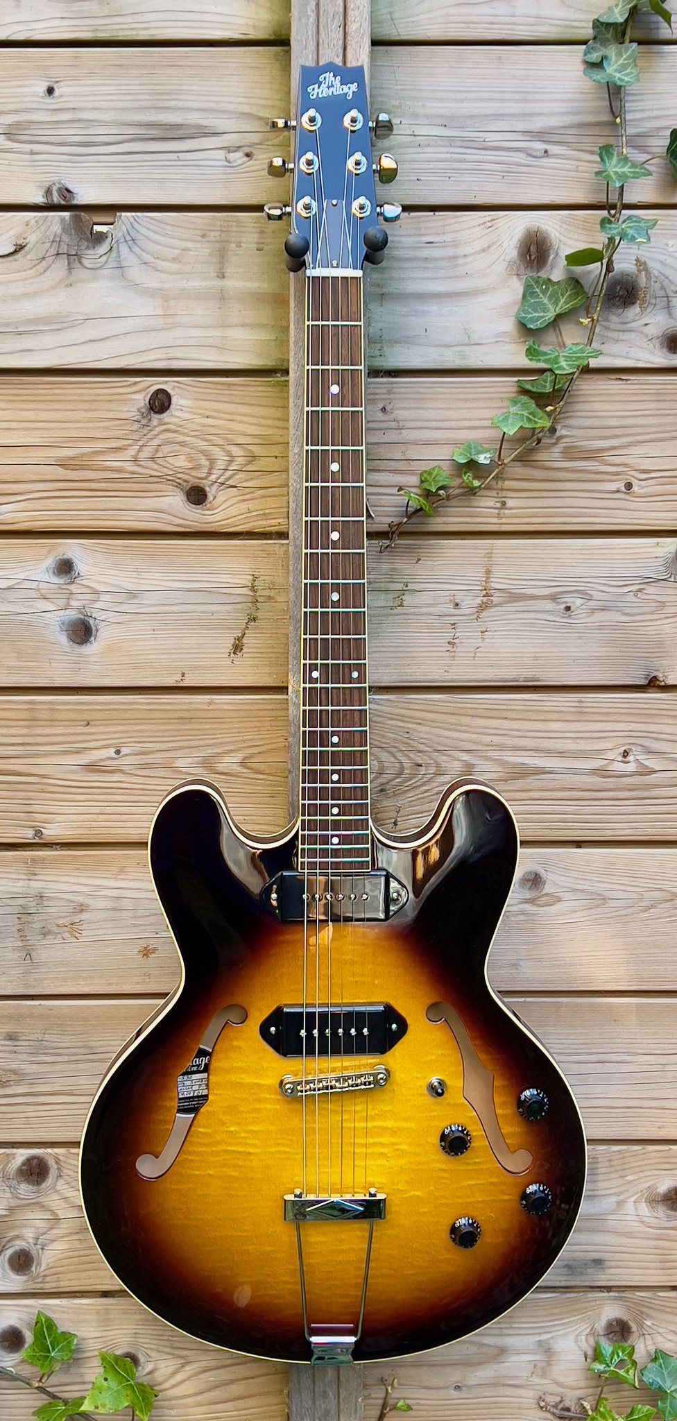 Heritage (PRICE DROP!) Heritage H-530 Sunburst (#...801)
