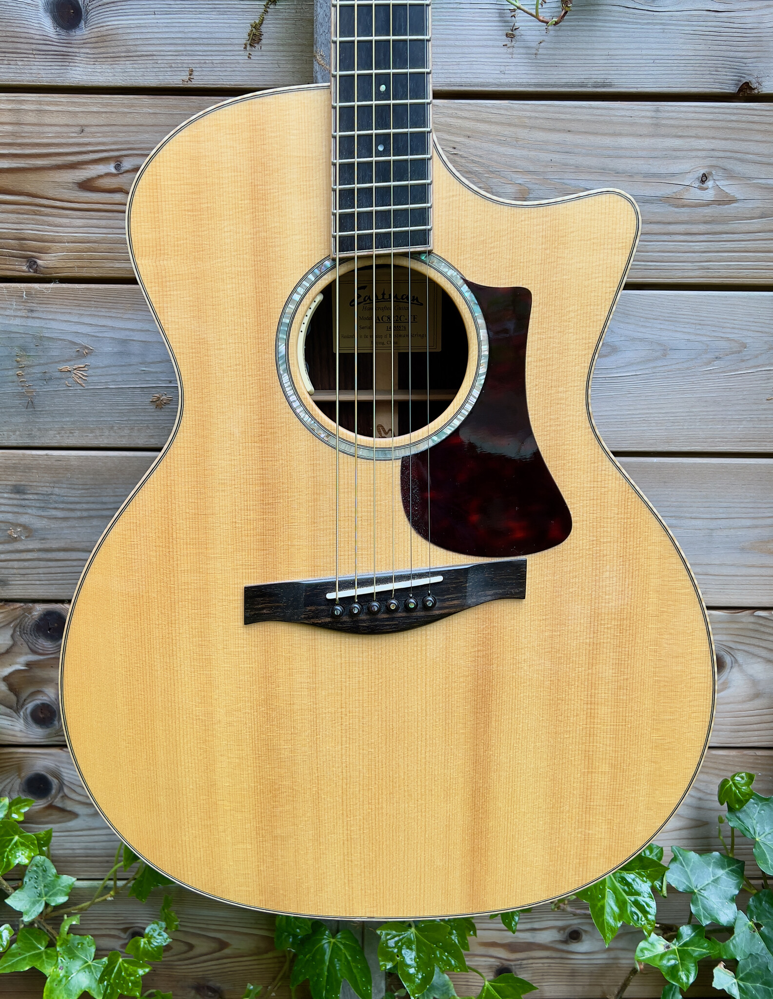 Eastman (AFGEPRIJSD!) Eastman AC822CE-FF