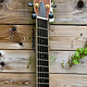 Eastman (PRICE DROP!) Eastman AC822CE-FF Grand Auditorium