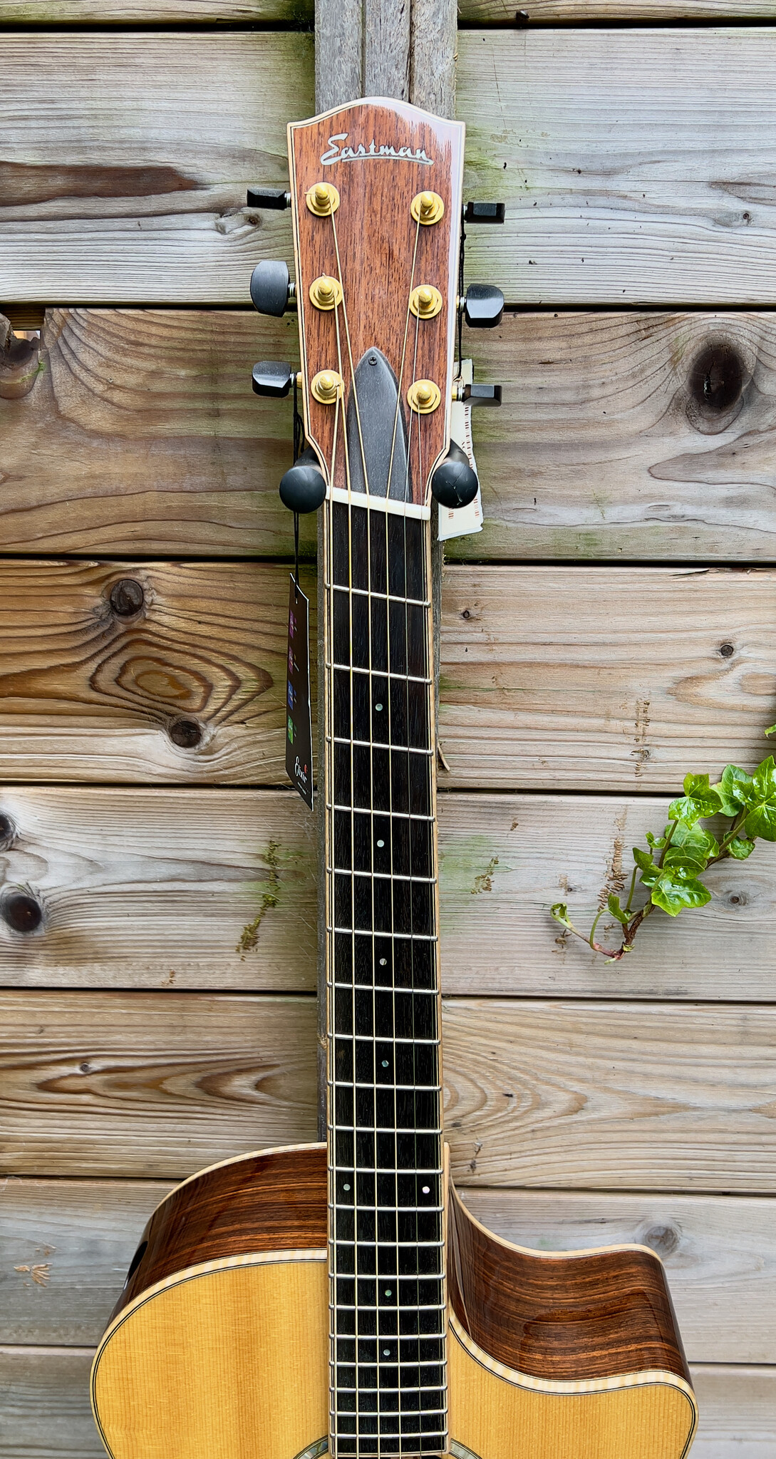 Eastman (PRICE DROP!) Eastman AC822CE-FF