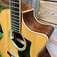 Eastman (PRICE DROP!) Eastman AC822CE-FF Grand Auditorium