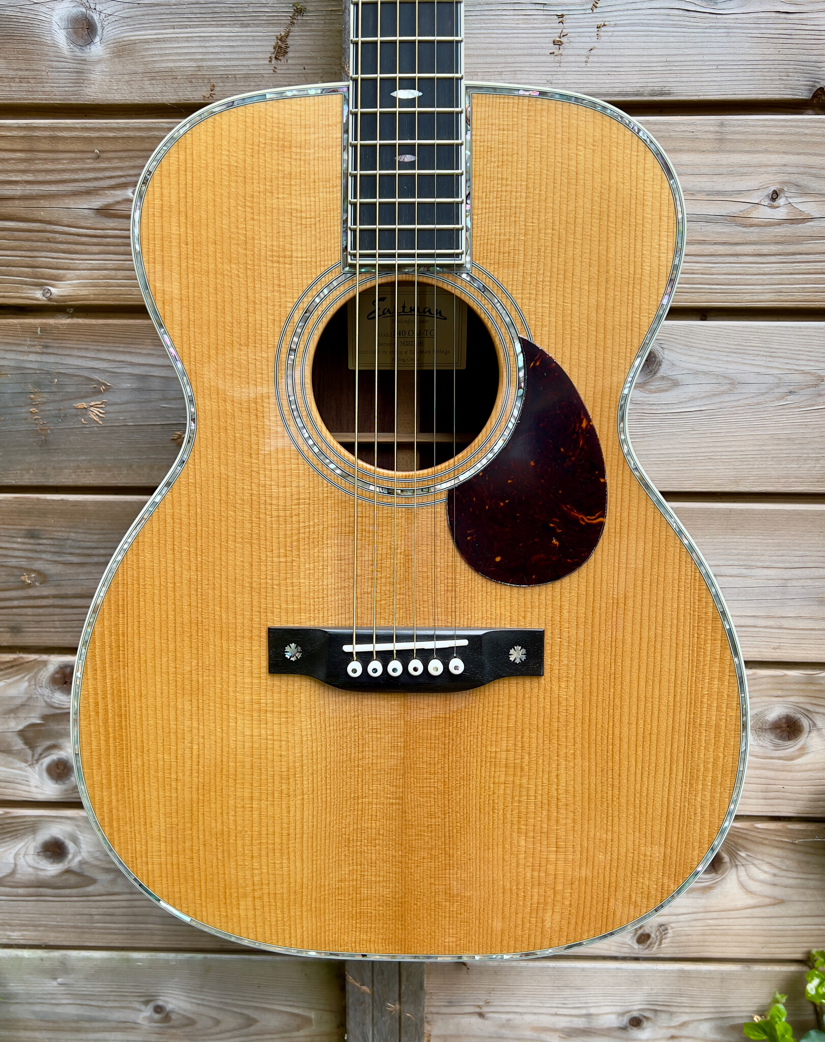 Eastman (ON HOLD) Eastman E40 OM-TC