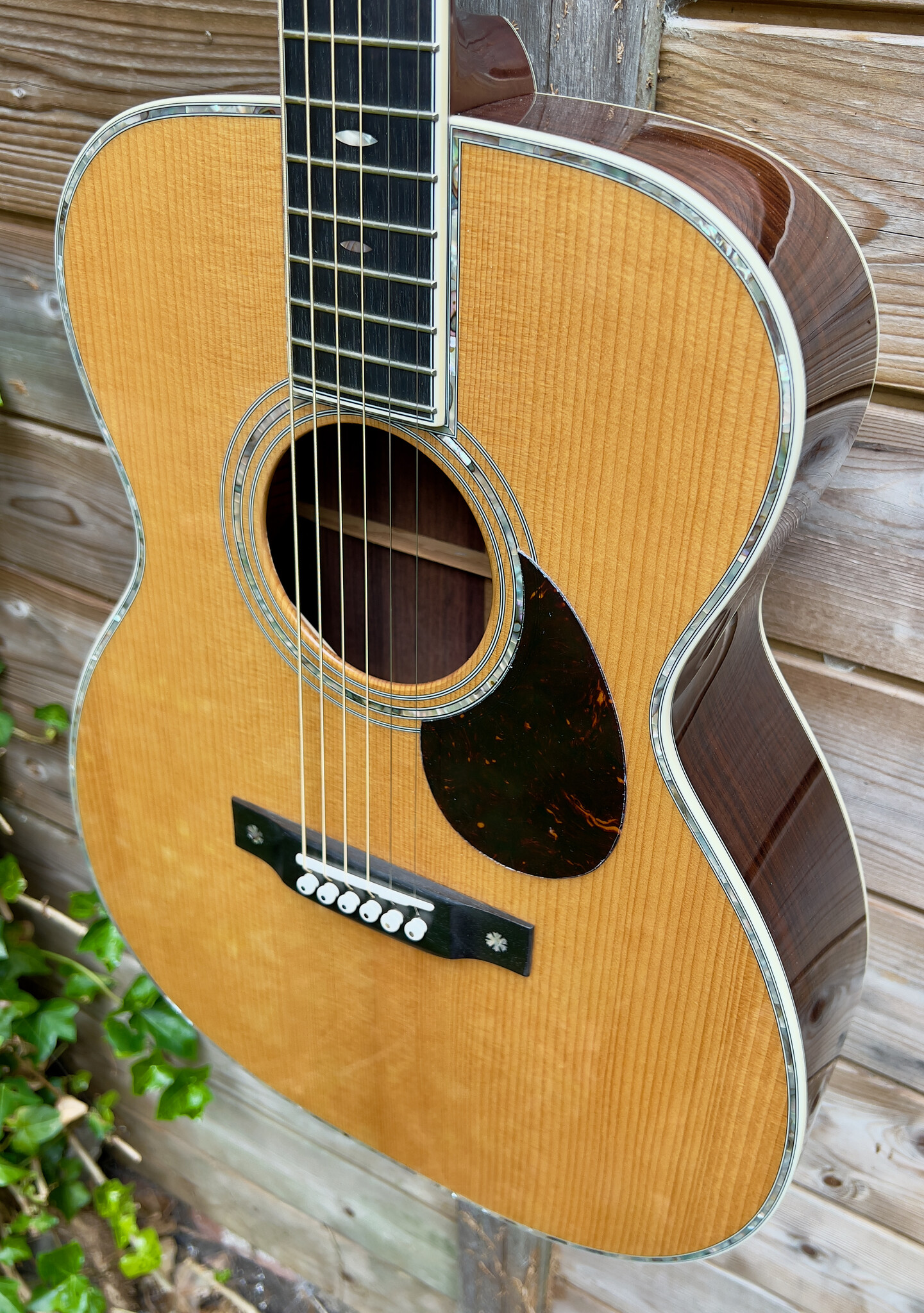 Eastman (ON HOLD) Eastman E40 OM-TC