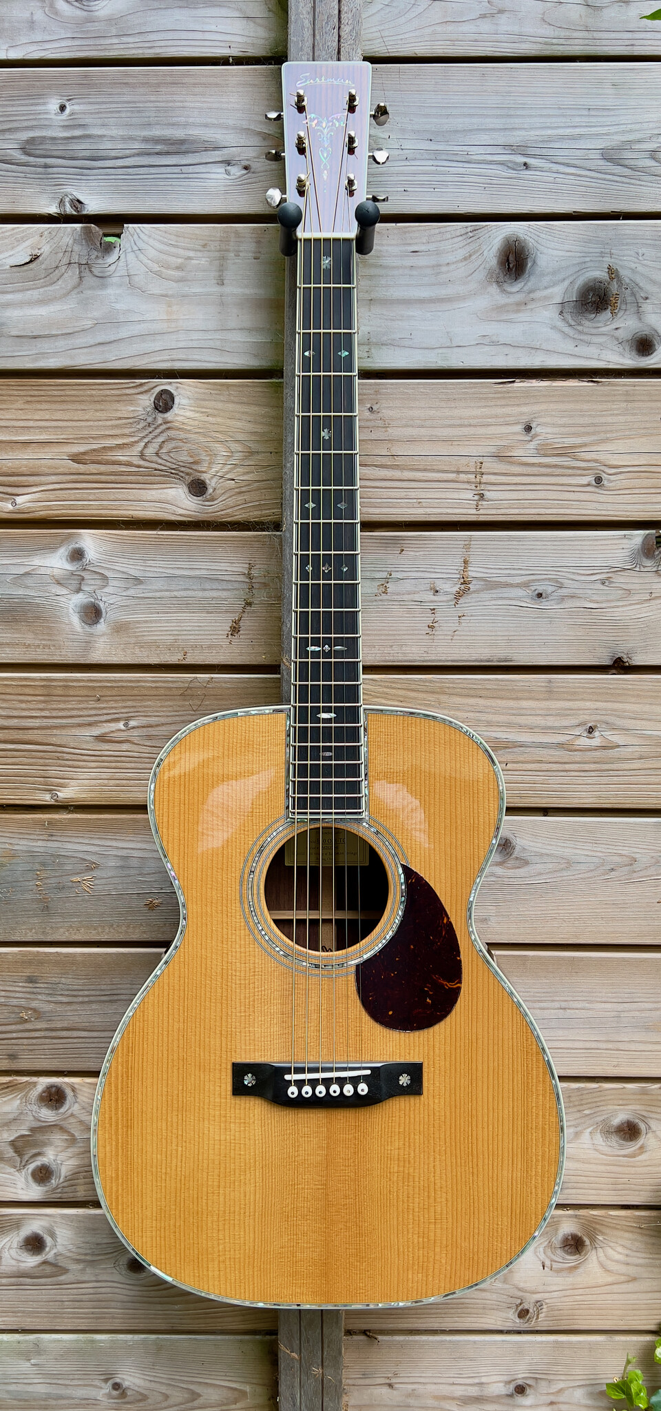 Eastman (ON HOLD) Eastman E40 OM-TC