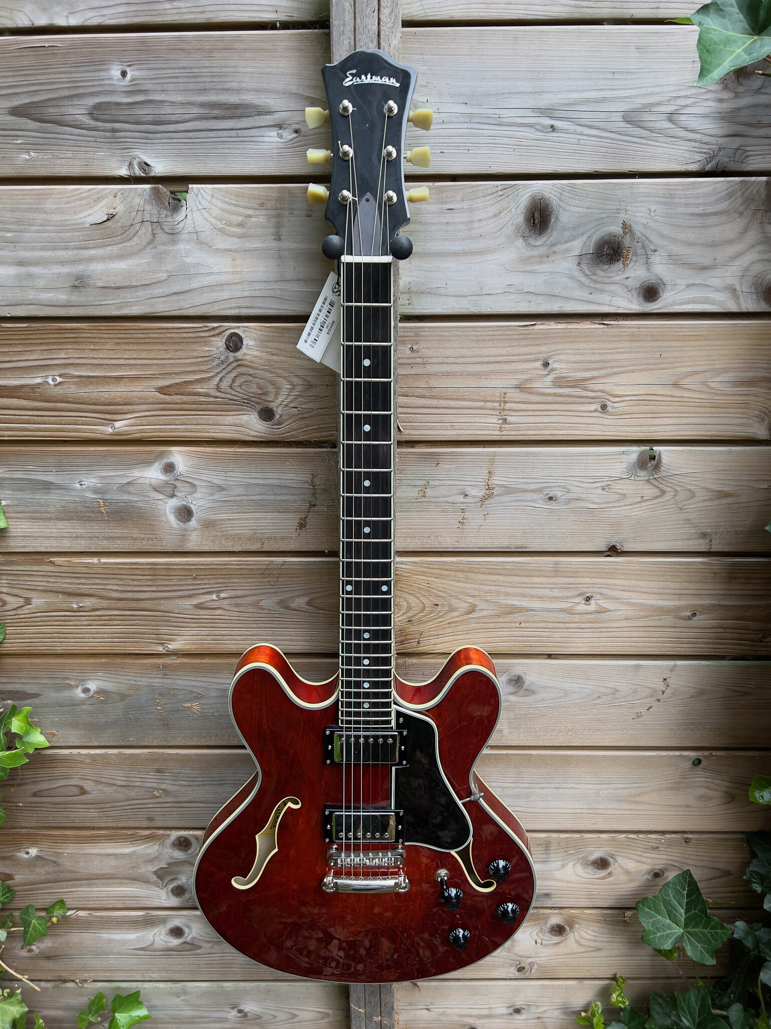 Eastman Eastman T386CL 16" Thinline Classic Finish (P2102723)