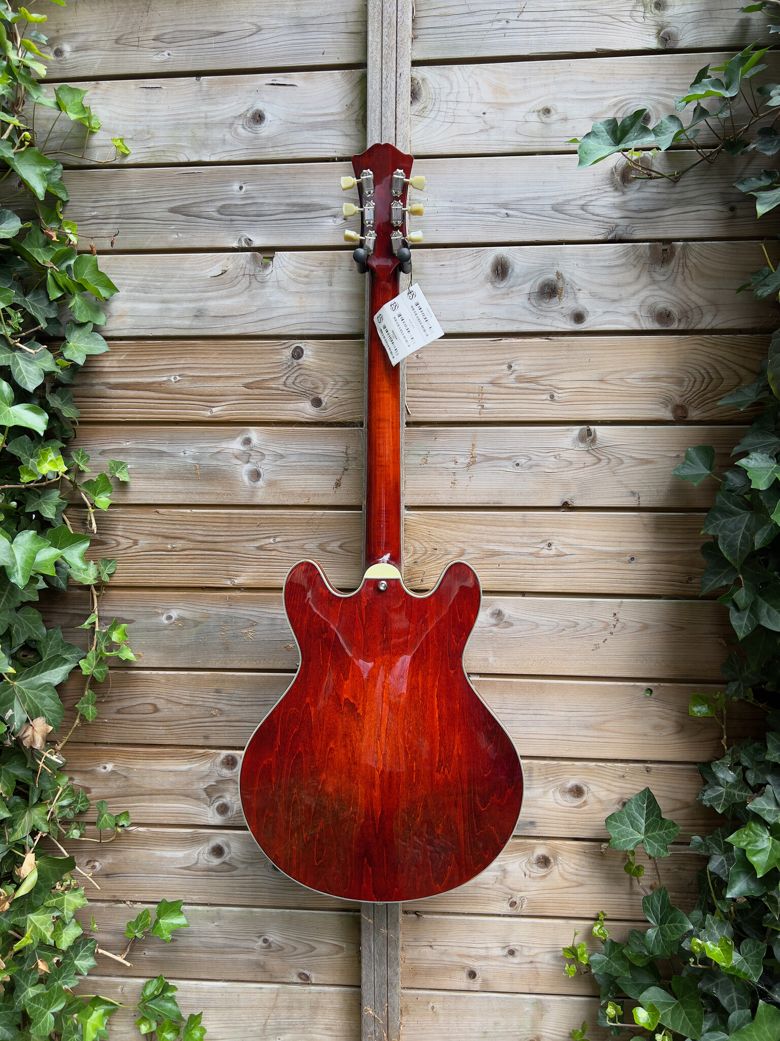 Eastman Eastman T386CL 16" Thinline Classic Finish (P2102723)