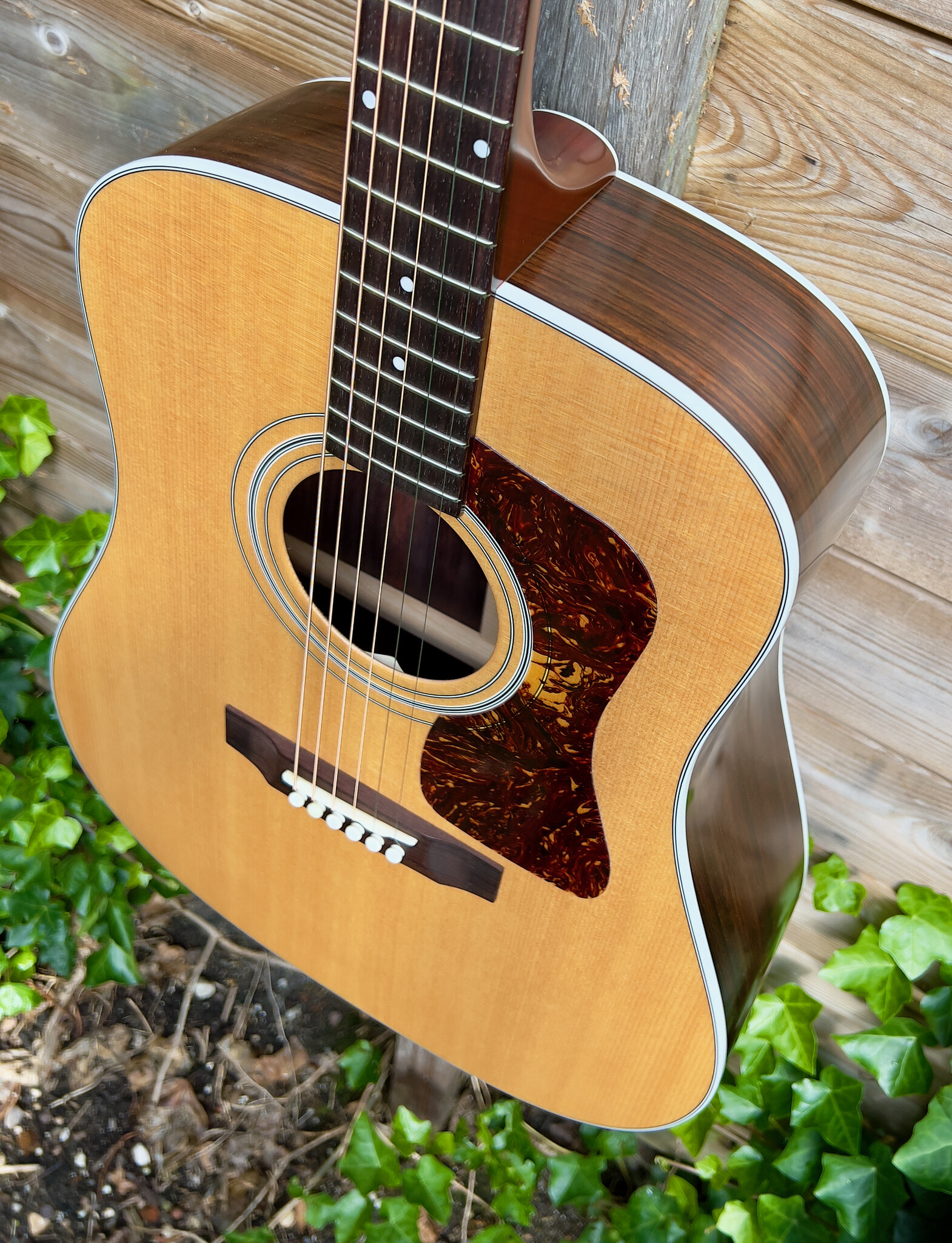 Guild Guild USA D-50 Natural