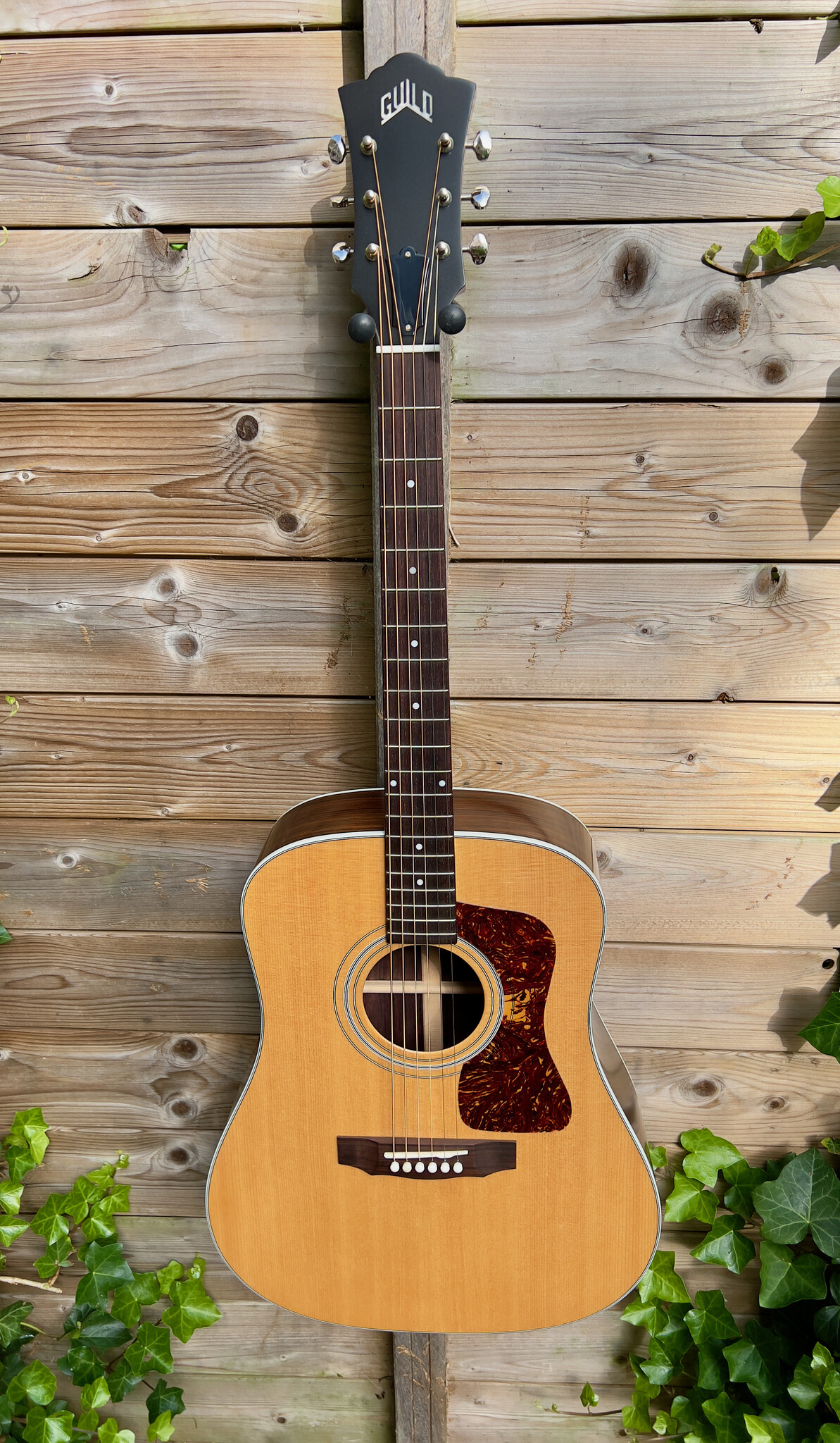 Guild Guild USA D-50 Natural