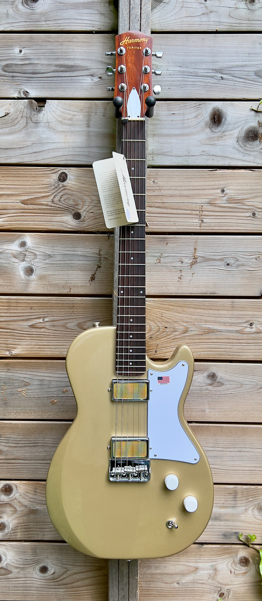 Harmony (SALE) Harmony USA Jupiter Champagne