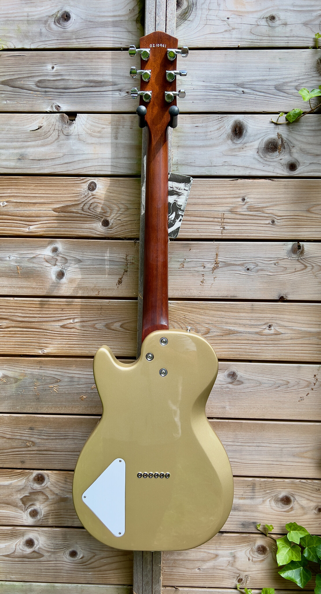 Harmony (SALE) Harmony USA Jupiter Champagne