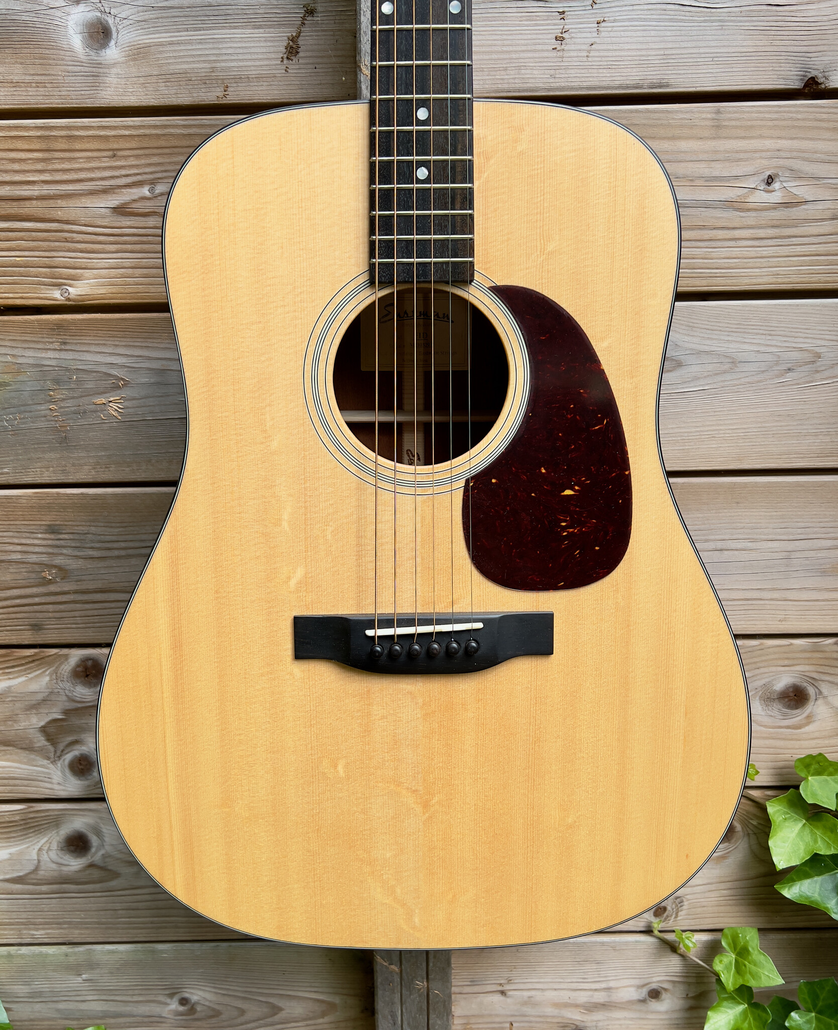 Eastman Eastman E1D Dreadnought