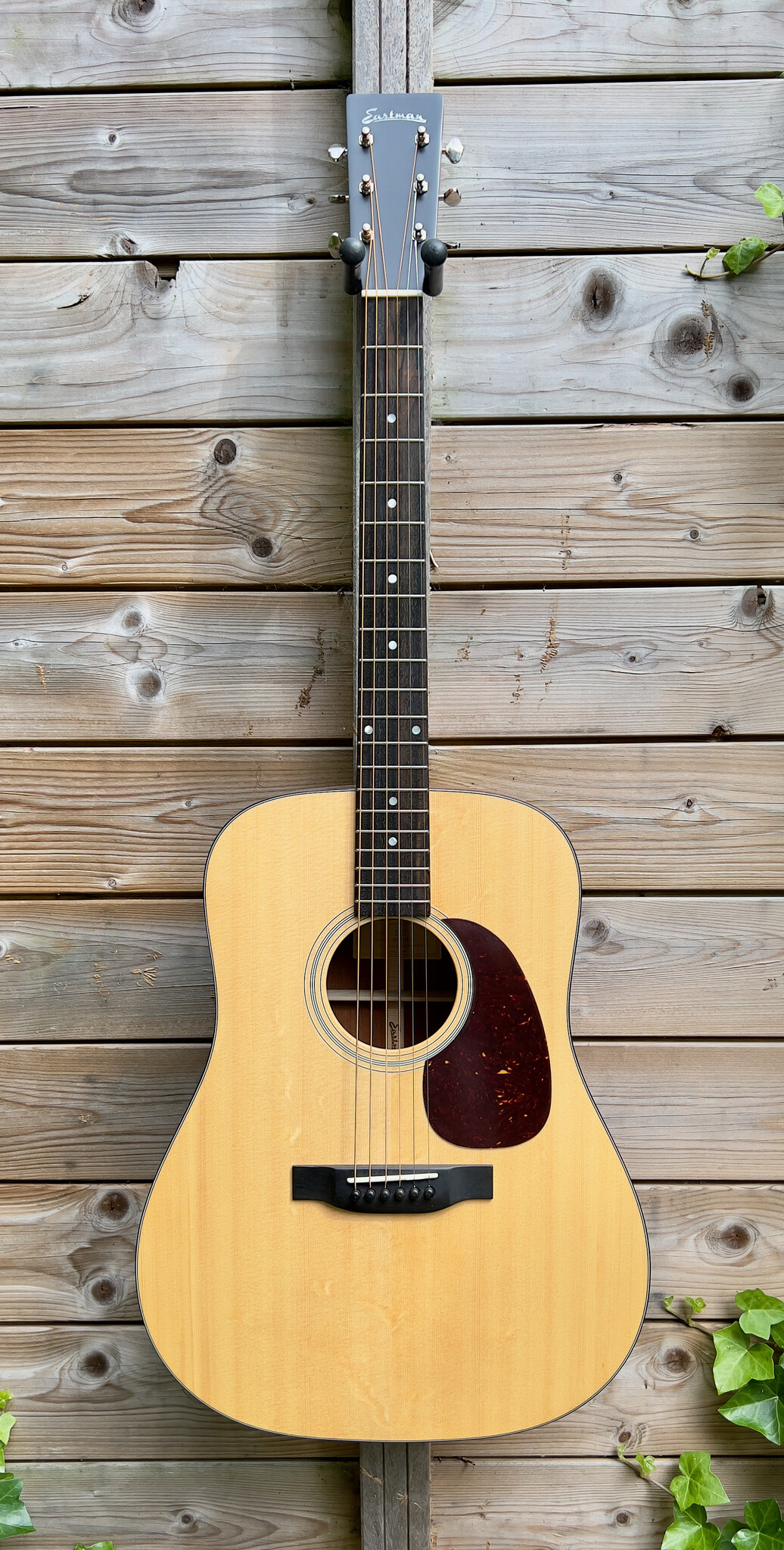 Eastman Eastman E1 D Dreadnought