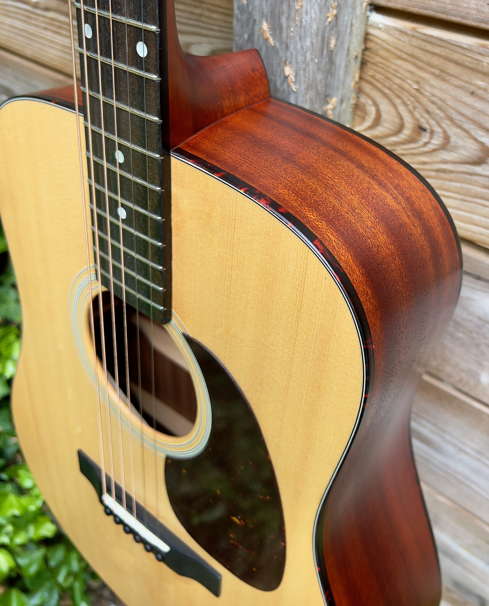 Eastman Eastman E1D Dreadnought