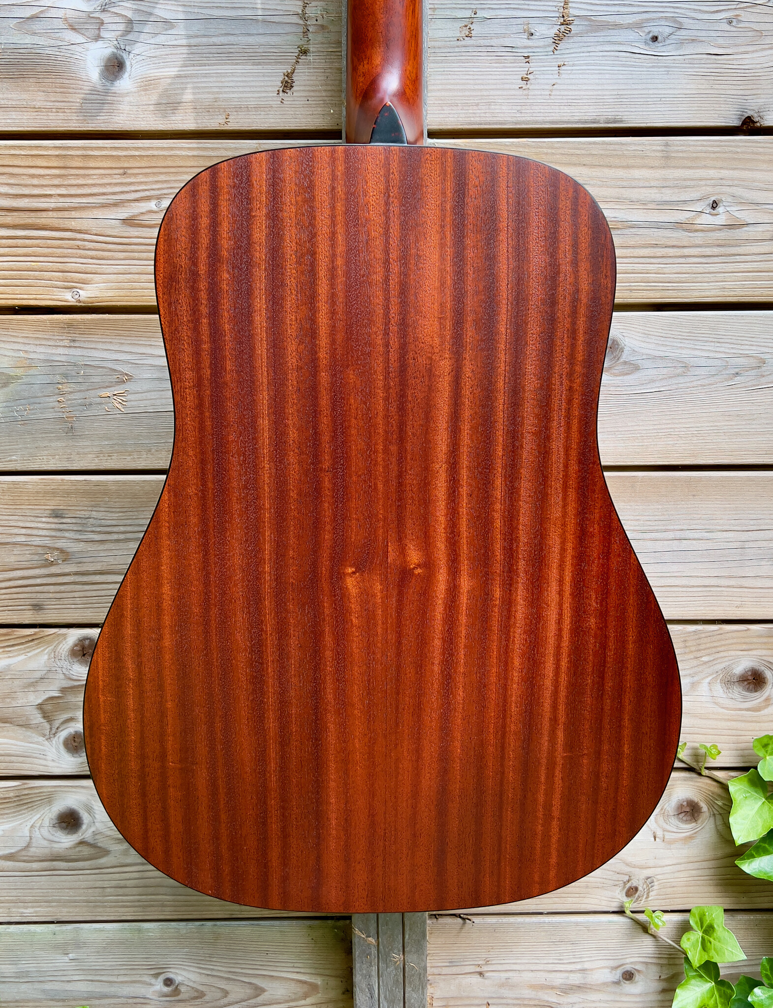 Eastman Eastman E1 D