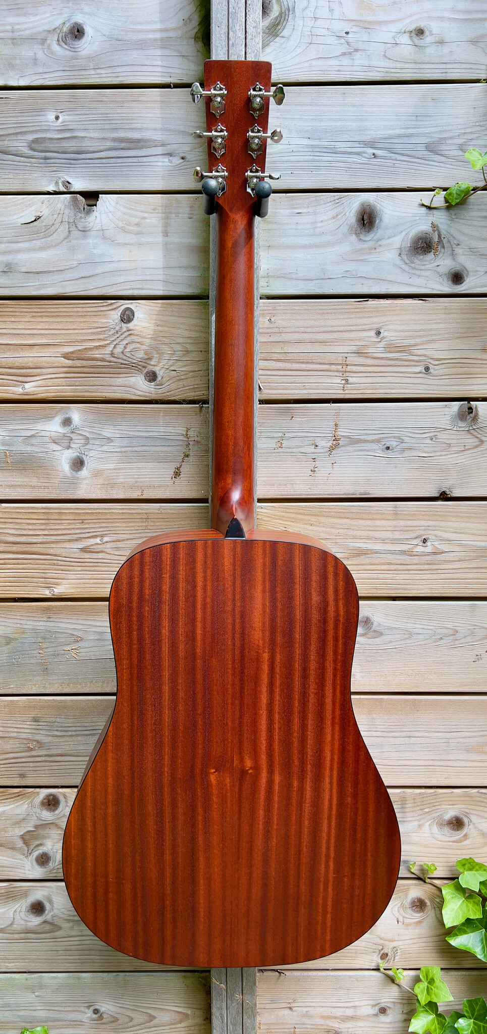 Eastman Eastman E1 D