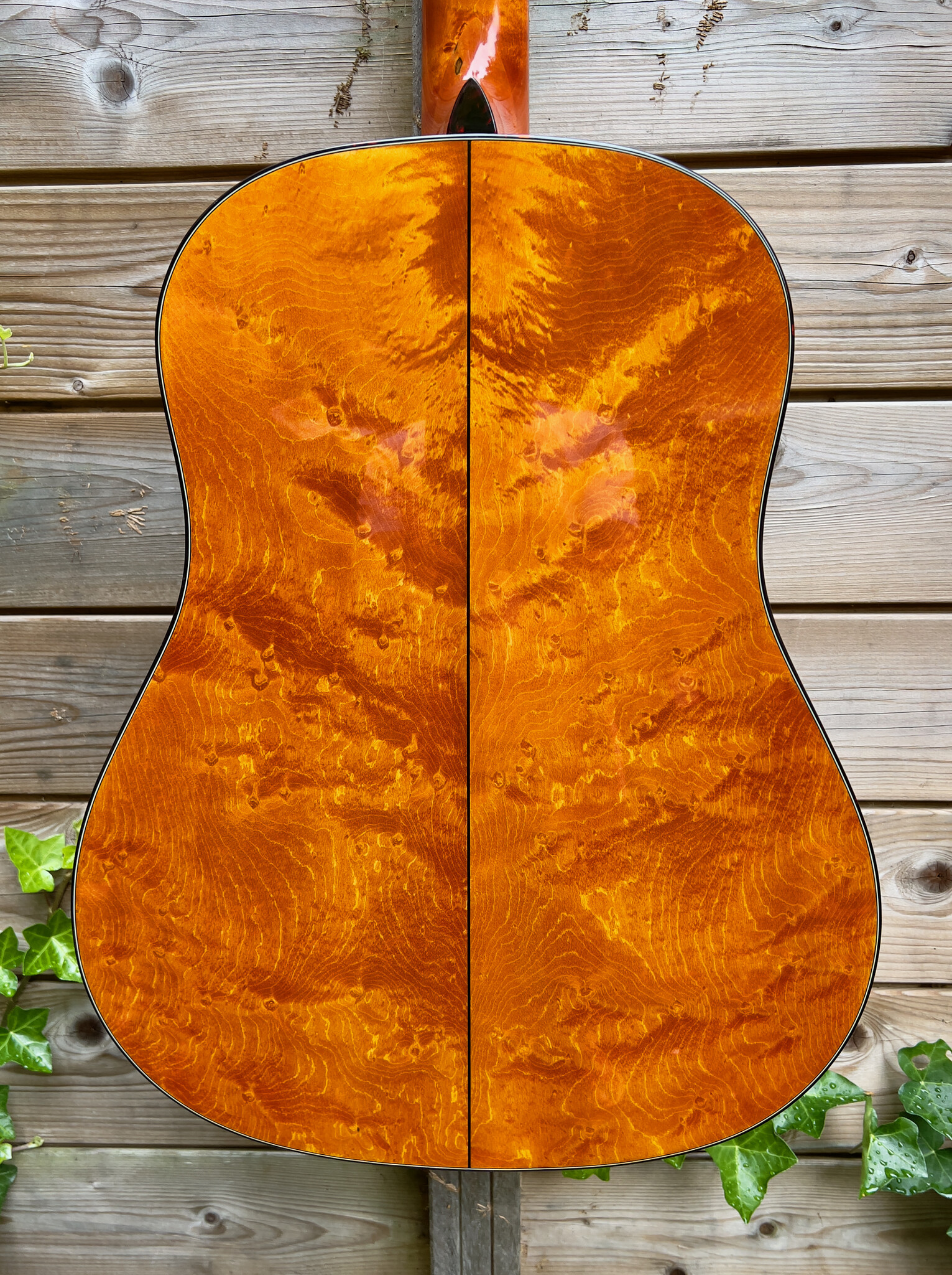 Eastman (AFGEPRIJSD!) Eastman E16 SS TC Limited Edition (#...309)