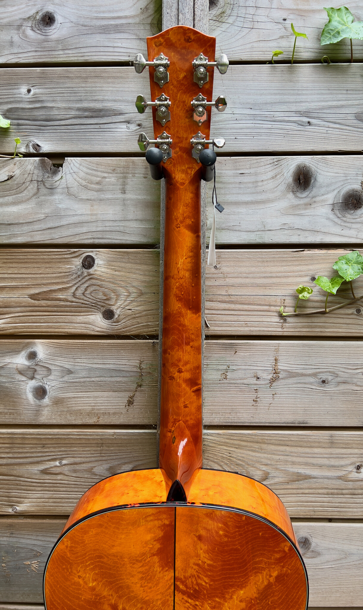 Eastman (AFGEPRIJSD!) Eastman E16 SS TC Limited Edition (#...309)