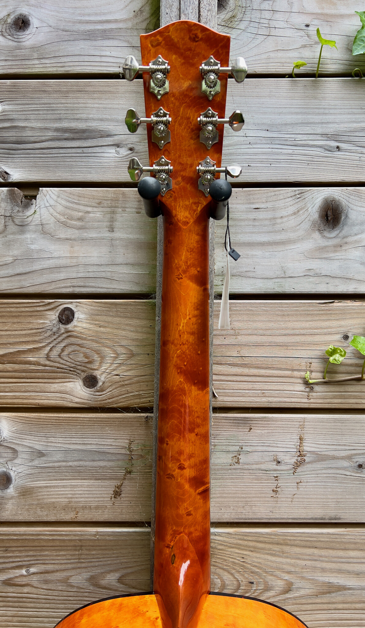 Eastman (AFGEPRIJSD!) Eastman E16 SS TC Limited Edition (#...309)