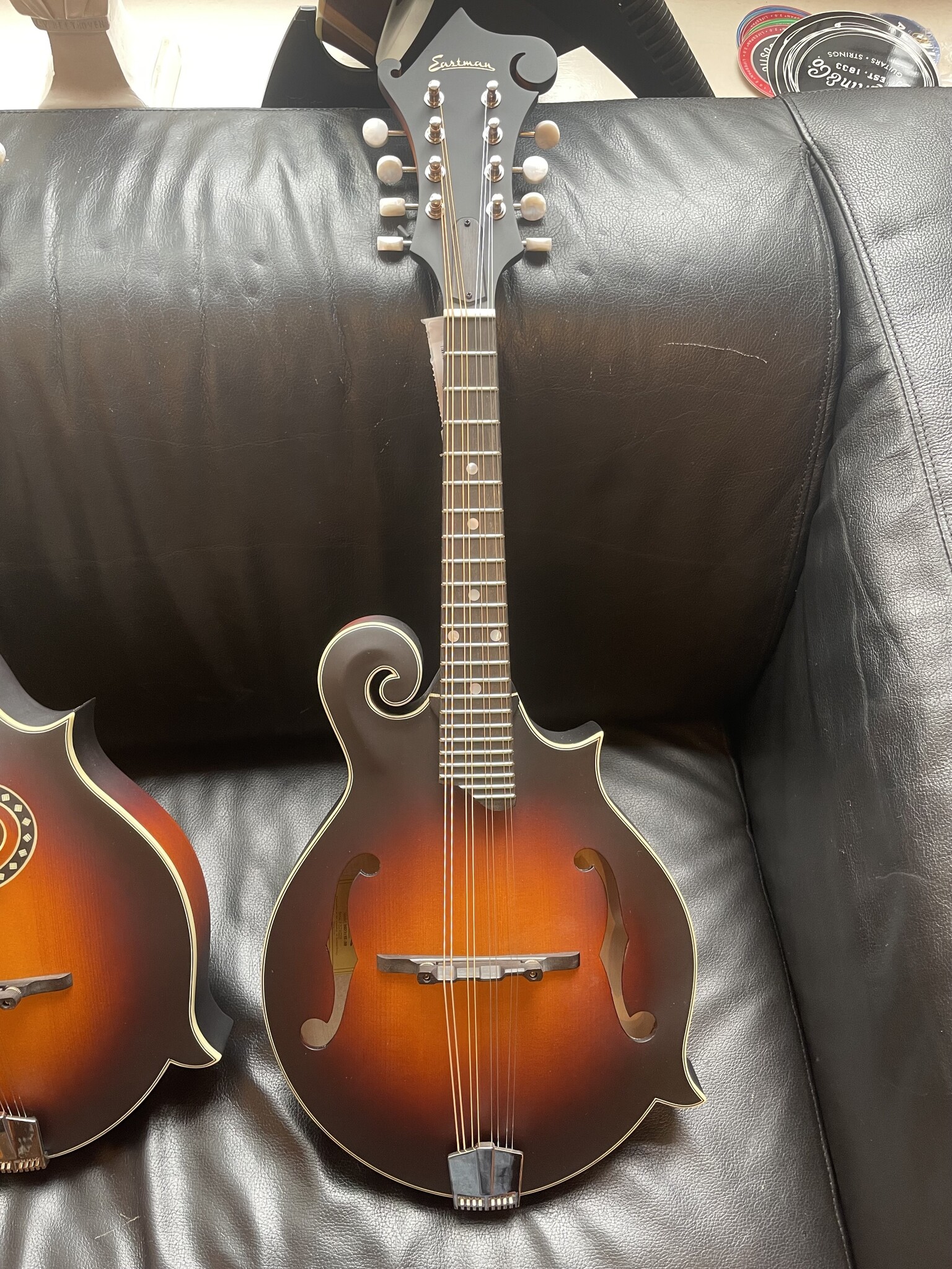 Eastman Eastman MD315E Sunburst