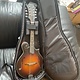 Eastman Eastman MD315E Sunburst