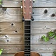 C. F. Martin & Co. Martin Custom Shop CS-D-14-Fret Adirondack/Guatemalan Rosewood #2315677