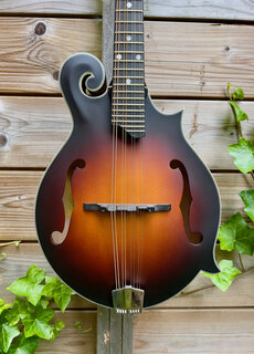 Eastman Eastman MD315E Sunburst