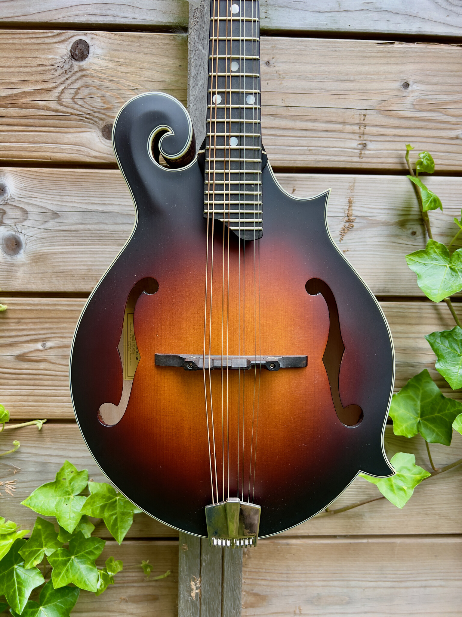 Eastman Eastman MD315E Sunburst