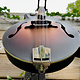 Eastman Eastman MD315E Sunburst