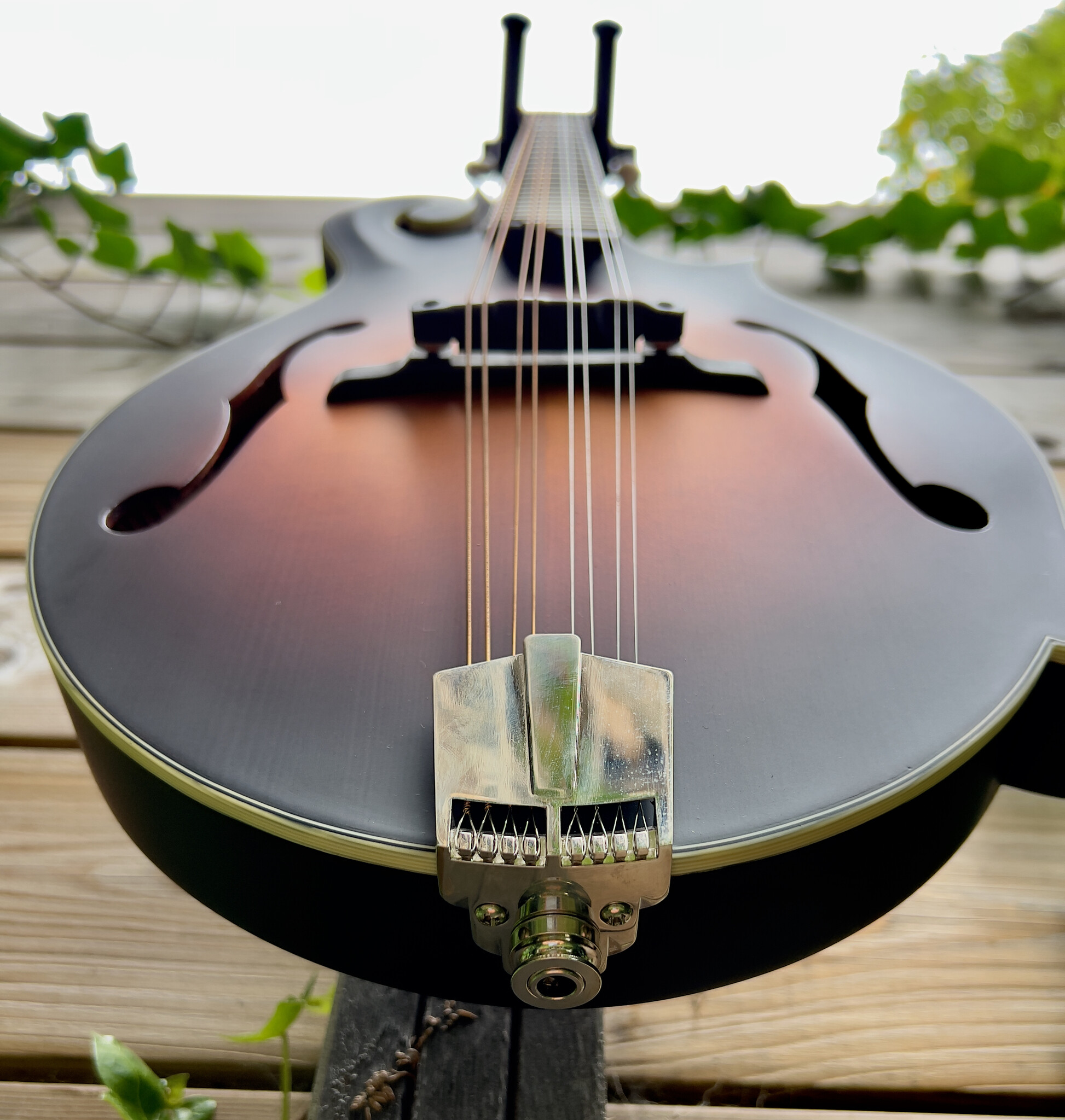 Eastman Eastman MD315E Sunburst
