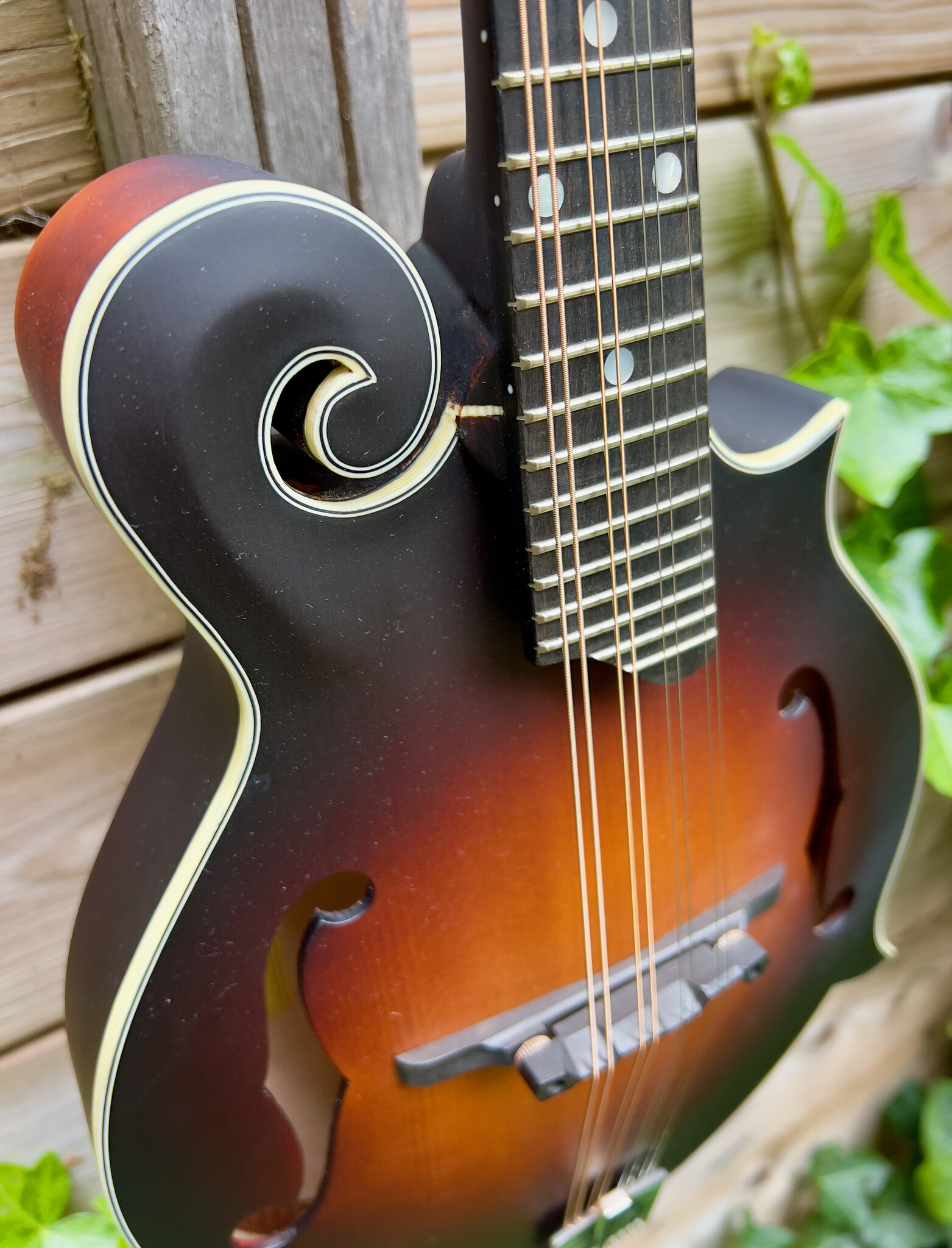 Eastman Eastman MD315E Sunburst