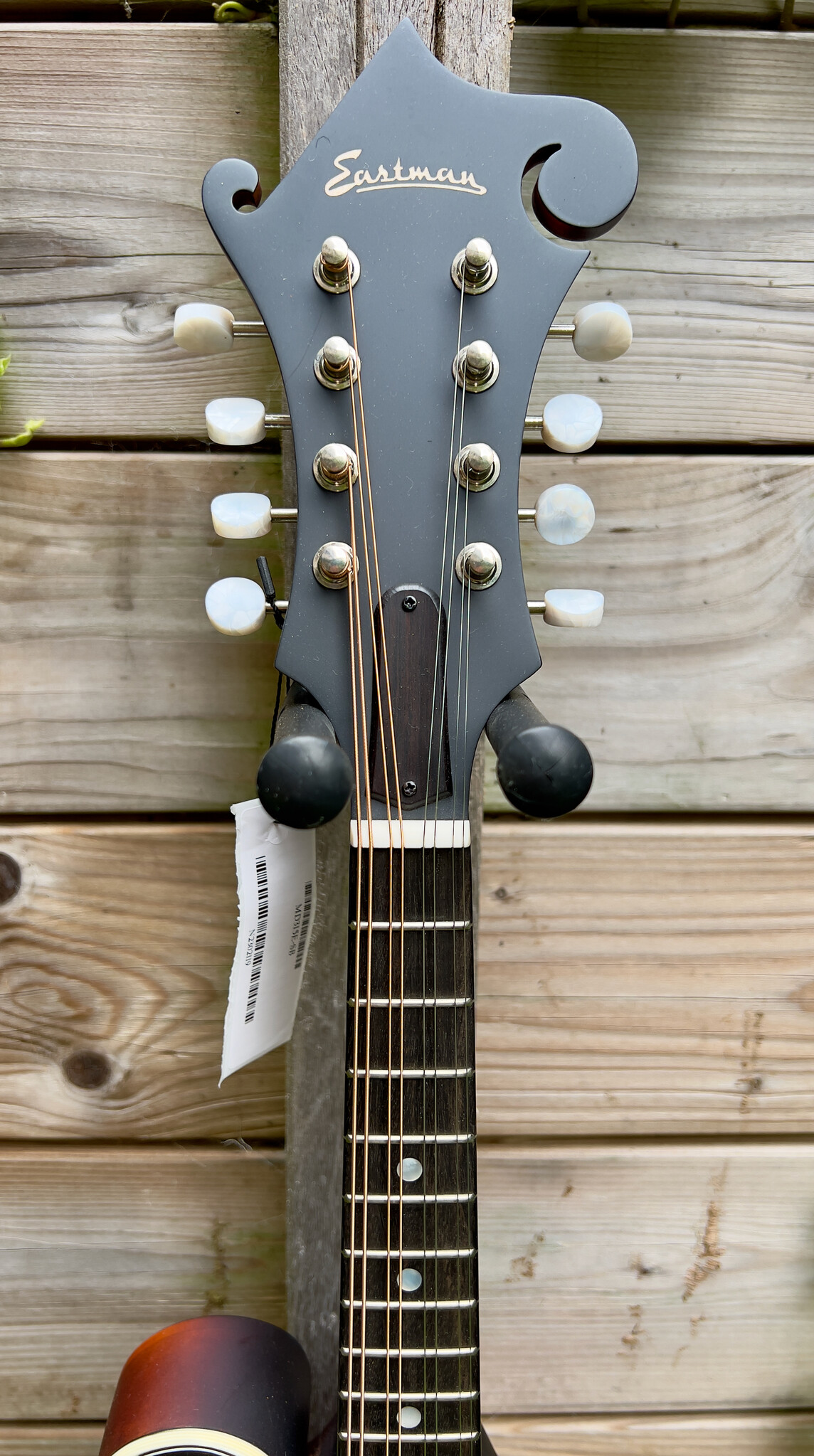 Eastman Eastman MD315E Sunburst