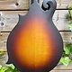 Eastman Eastman MD315E Sunburst