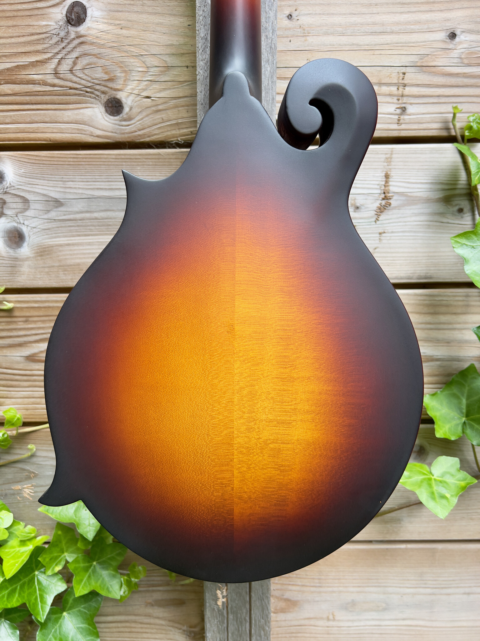 Eastman Eastman MD315E Sunburst
