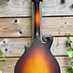 Eastman Eastman MD315E Sunburst