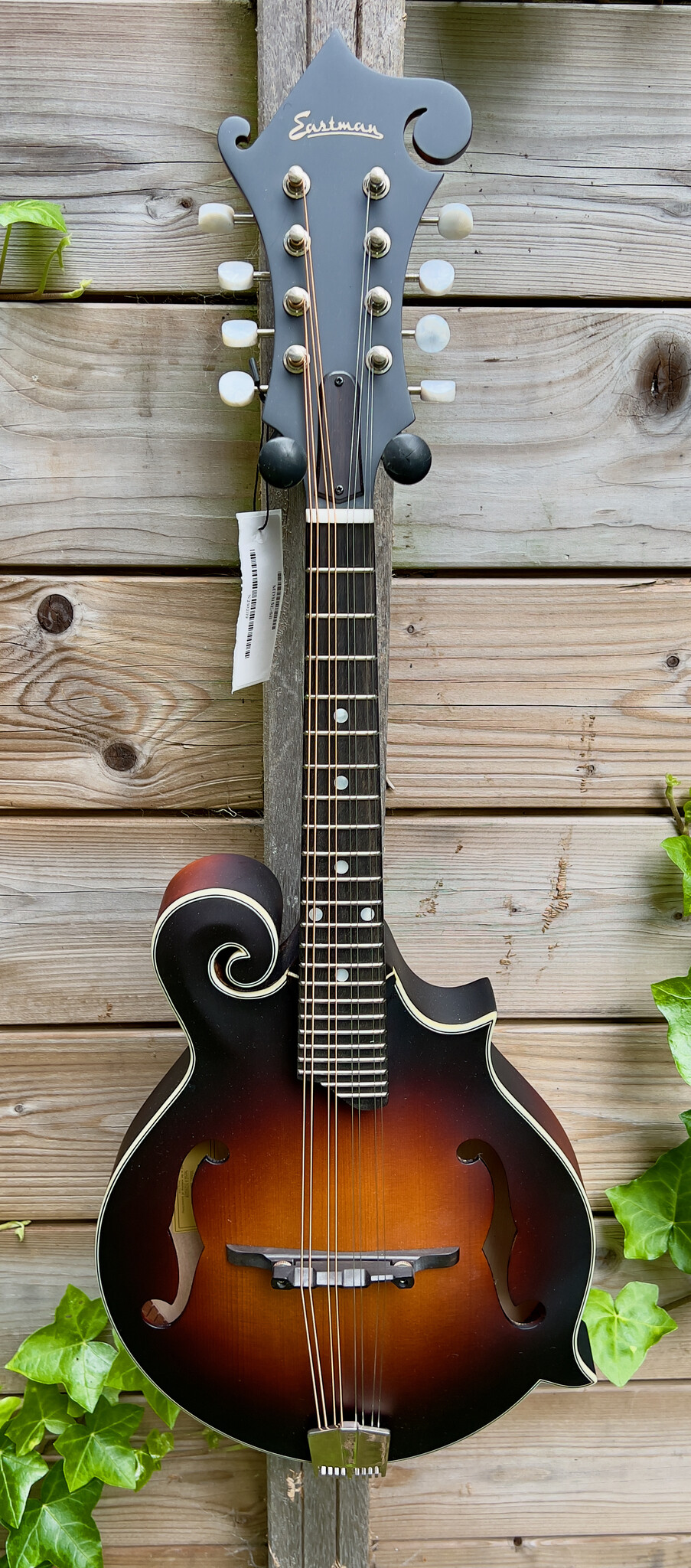 Eastman Eastman MD315E Sunburst