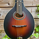 Eastman Eastman MD304E Sunburst